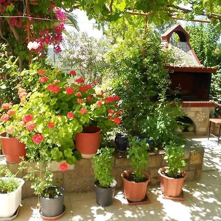 Anthoula 2* Кефалос