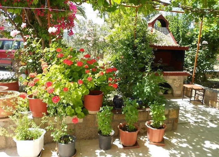 Anthoula 2* Kéfalos